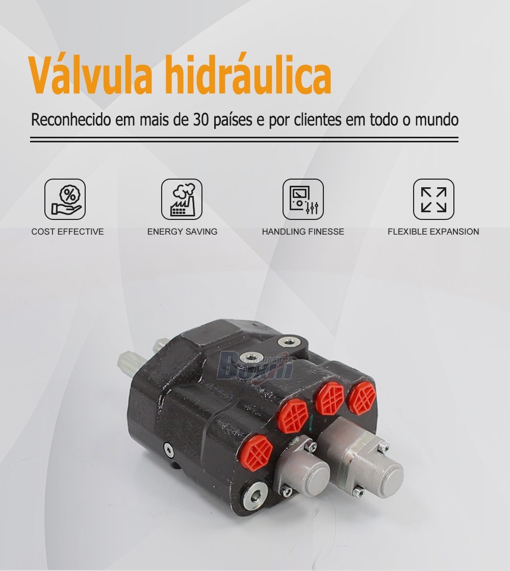 80A Series Monoblock Valve with 2 Spools for Heavy Machinery